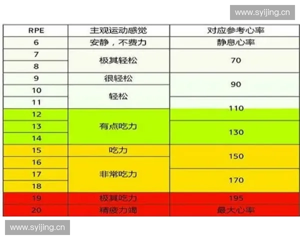 运动负荷等级评估与科学训练方案制定的实用指南 运动负荷等级评估与科学训练方案制定的实用指南